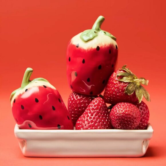 Anthropologie Foster Icon Salt & Pepper Shakers